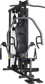 Horizon Fitness Torus III Kraftstation