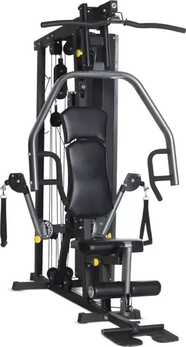 Horizon Fitness Torus III Kraftstation