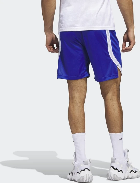adidas Icon Squad Shorts royal blue/white (Herren)