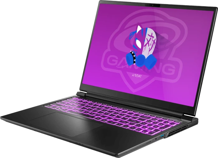 ONE GAMING Agent V60-14NB-RN1, Core i9-14900HX, 32GB RAM, 2TB SSD, GeForce RTX 4070, DE