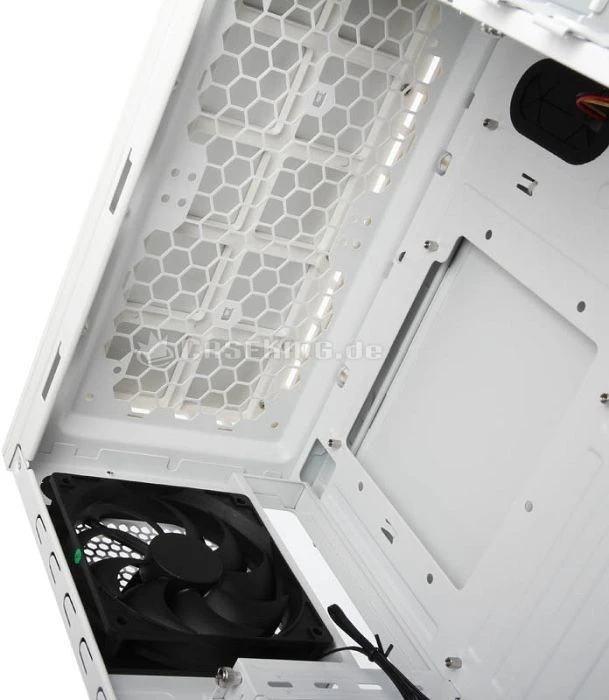 anidées AI6W White