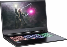 Captiva Advanced Gaming I53-300, Core i7-9750H, 16GB RAM, 240GB SSD, 1TB HDD, GeForce GTX 1660 Ti, DE (53300)