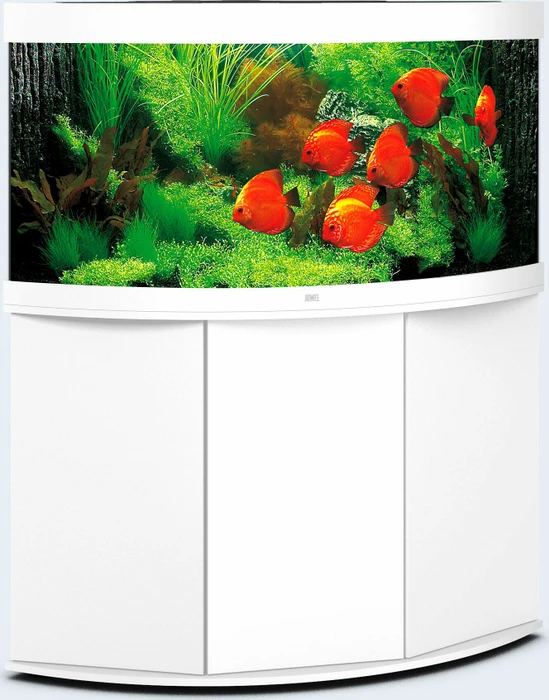 Juwel Trigon 350 LED Aquarium