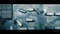 Death Stranding - Director's Cut (PS5) Vorschaubild