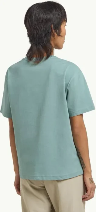 Jack Wolfskin Cordillera T-Shirt kurzarm soft jade (Damen)