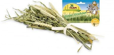 JR Farm Knabber-Sträußchen