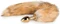 EasyToys Fox Tail Plug Vorschaubild