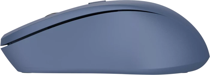 Trust Mydo Silent Wireless Mouse blau, ECO zertifiziert, USB