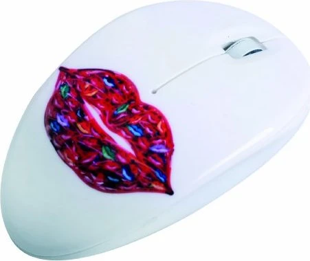 Bodino Wireless Optical Mouse by David Gerstein, USB