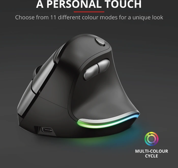 Trust Bayo Wireless Rechargeable Ergonomic Mouse, schwarz/grau, USB
