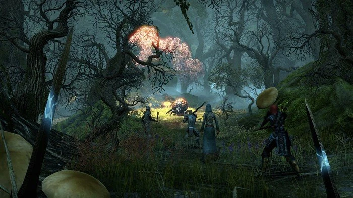 The Elder Scrolls: Online - Morrowind (MMOG) (PC)
