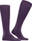 Falke Tiago Socken wine berry (Herren) Vorschaubild