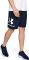 Under Armour Sportstyle Grafik Hose kurz (Herren) Vorschaubild