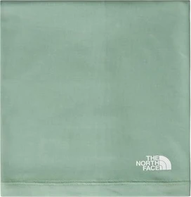 The North Face Base Schlauchtuch slate moss