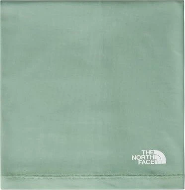 The North Face Base Schlauchtuch