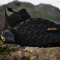 adidas Terrex Trailmaker 2.0 Mid GTX core black/carbon/grey four (Herren) Vorschaubild