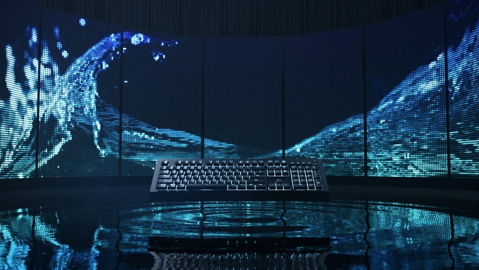 Razer Cynosa V2, USB, IT