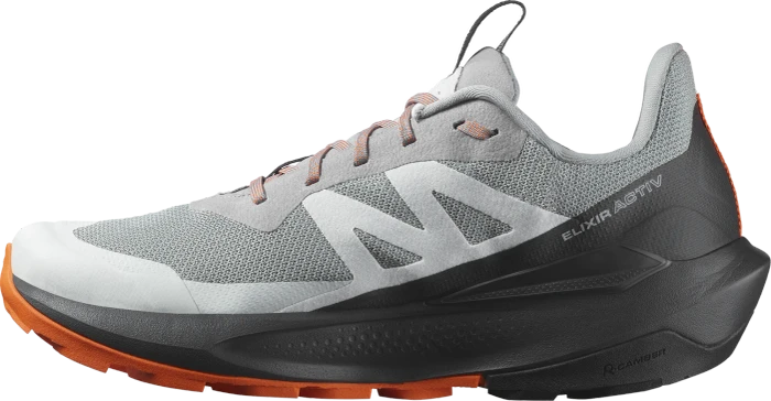 Salomon Elixir Activ GTX sharkskin/phantom/dragon fire (Herren)