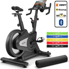 Wingman SFX22 Pro Indoor Cycle schwarz