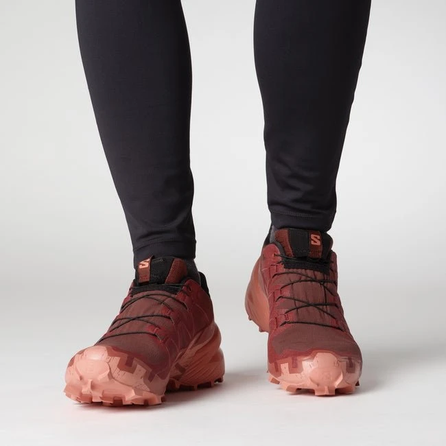 Salomon Speedcross 6 Gore-Tex rum raisin/barn red/canyon clay (Damen)