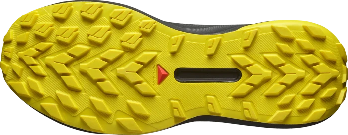 Salomon Genesis black/metal/incaberry (Herren)
