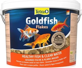 Tetra Goldfish