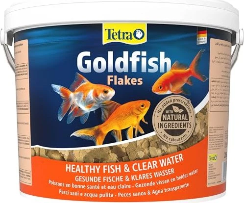 Tetra Goldfish