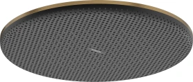 Hansgrohe Raindance Alive S Kopfbrause 300 1jet brushed bronze