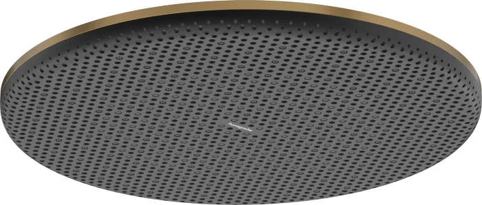 Hansgrohe Raindance Alive S Kopfbrause 300 1jet brushed bronze