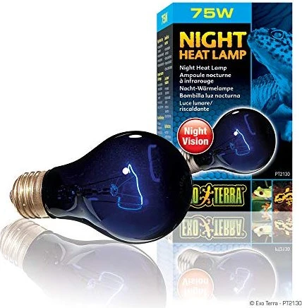 Exo Terra Night Heat Lamp