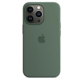 Apple Silikon Case mit MagSafe für iPhone 13 Pro Eukalyptus