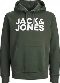 Jack & Jones Logo Hoodie mountain view (Herren)