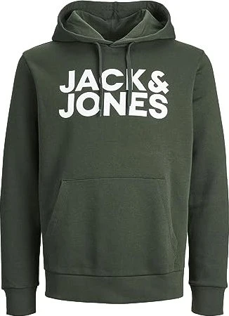 Jack & Jones Logo Hoodie mountain view (Herren)