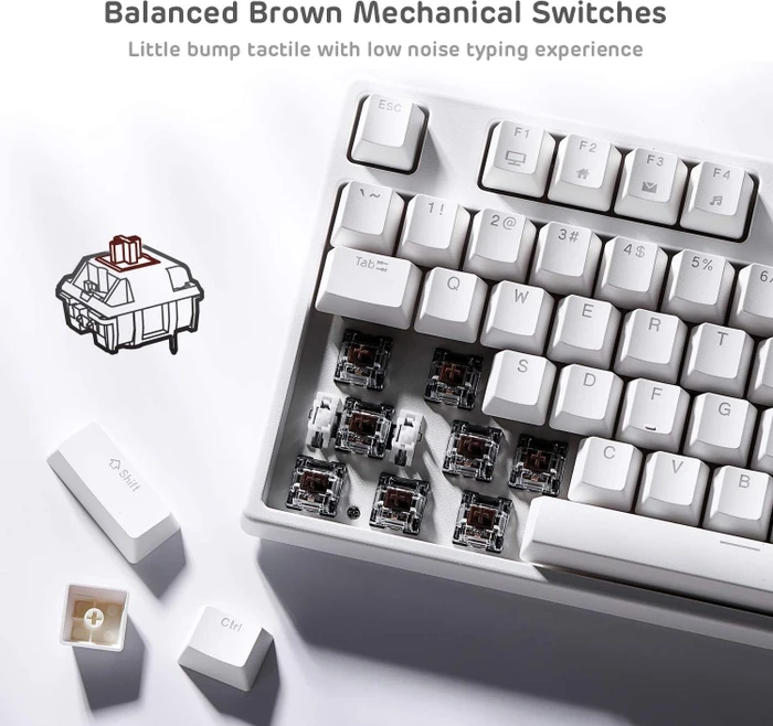 RK Royal Kludge RK87 Wireless TKL, LEDs RGB, weiß, RK BROWN, USB, US