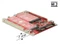 DeLOCK SATA -> M.2 SATA, SATA -> mSATA Vorschaubild