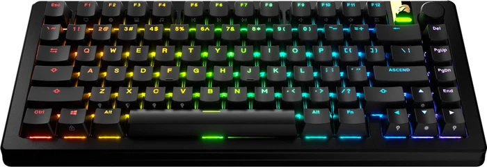 Glorious GPBT Backlit Keycaps, Kunststoff (PBT), schwarz, 130 Tasten, ANSI-US
