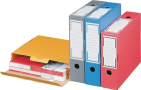 Smartbox Pro Archivbox 100x325x265mm, grau