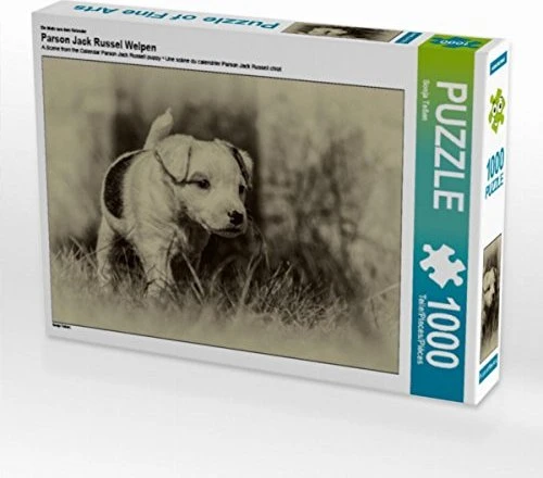 Calvendo Ein Motiv aus dem Kalender Parson Jack Russel Welpen