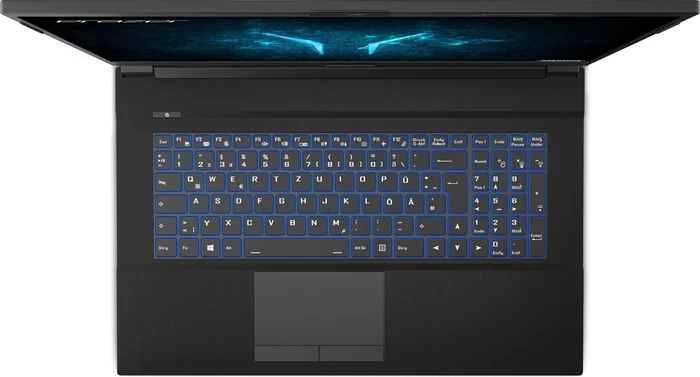 Medion Erazer Defender P10, Core i5-10300H, 16GB RAM, 512GB SSD, GeForce RTX 2060, DE