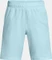 Under Armour Tech Woven Wordmark Hose kurz stream/midnight navy (Junior) Vorschaubild
