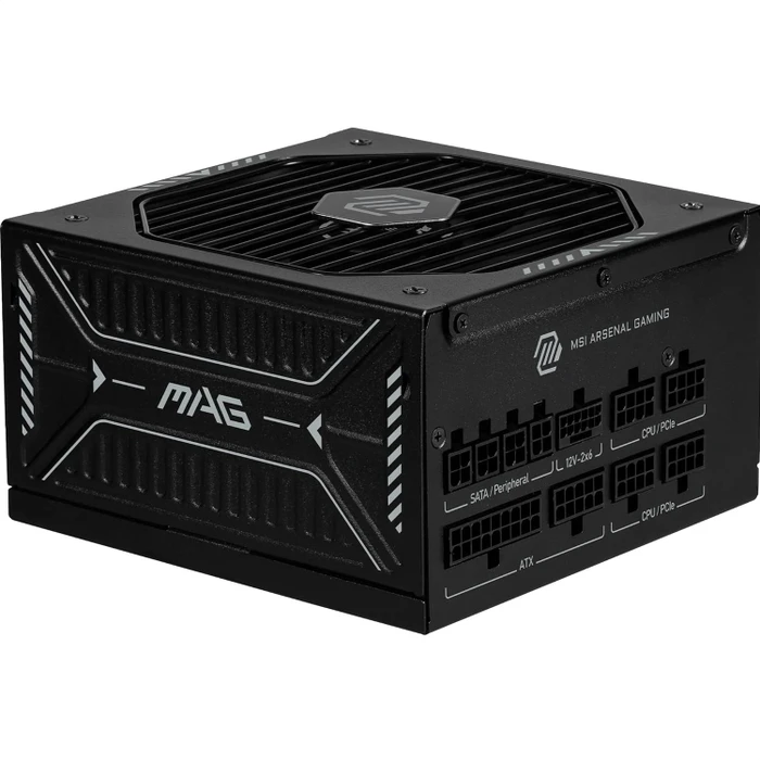 MSI MAG A1000GLS PCIE5 1000W, ATX 3.1