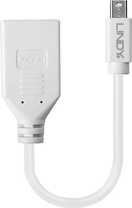 Lindy Adapterkabel Mini DisplayPort [Stecker] auf DisplayPort [Buchse]