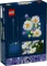LEGO Botanicals - Gänseblümchen Vorschaubild
