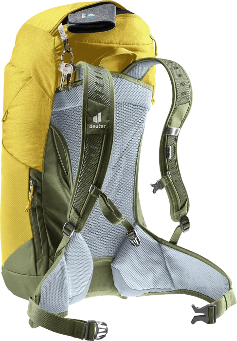 Deuter AC Lite 30 turmeric/khaki