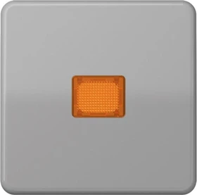 Jung Serie CD Wippe Thermoplast mit Lichtaustrittsfenster, grau