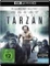 Legend of Tarzan Vorschaubild