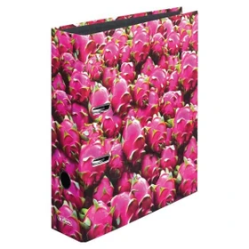 Herlitz maX.file Ordner 2-Ring mit Motiv, 80mm, A4, Drachenfrucht