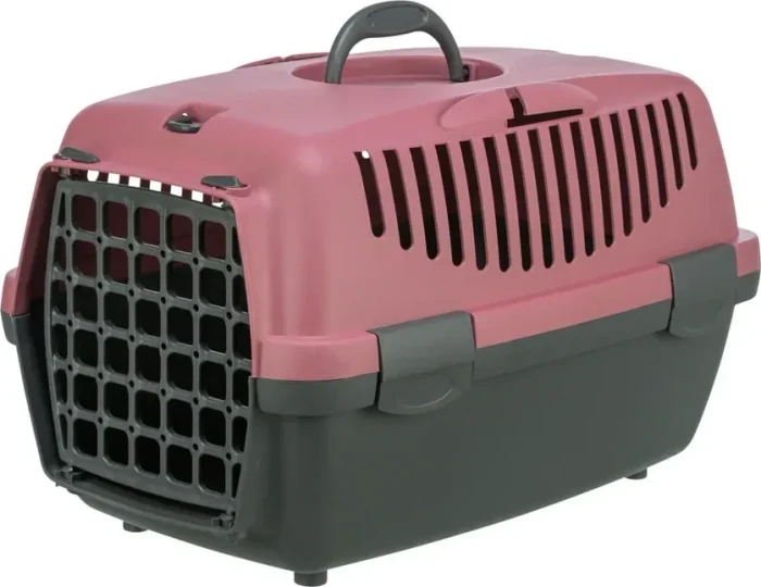 Trixie Capri 1 & 2 Transportbox für kleine Hunden und Katzen aus Kunststoff, 37x34x55cm, grau (398212)