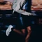adidas Adizero Evo SL off white/ice gold met./granite (Damen) Vorschaubild