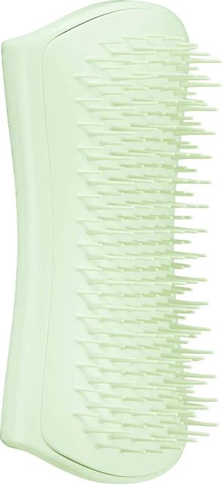 Tangle Teezer Pet Puppy Brush Mint